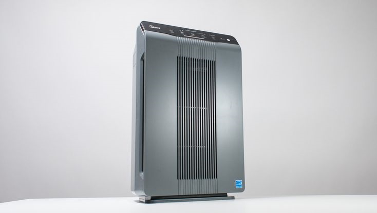 Winix 5500-2 Review