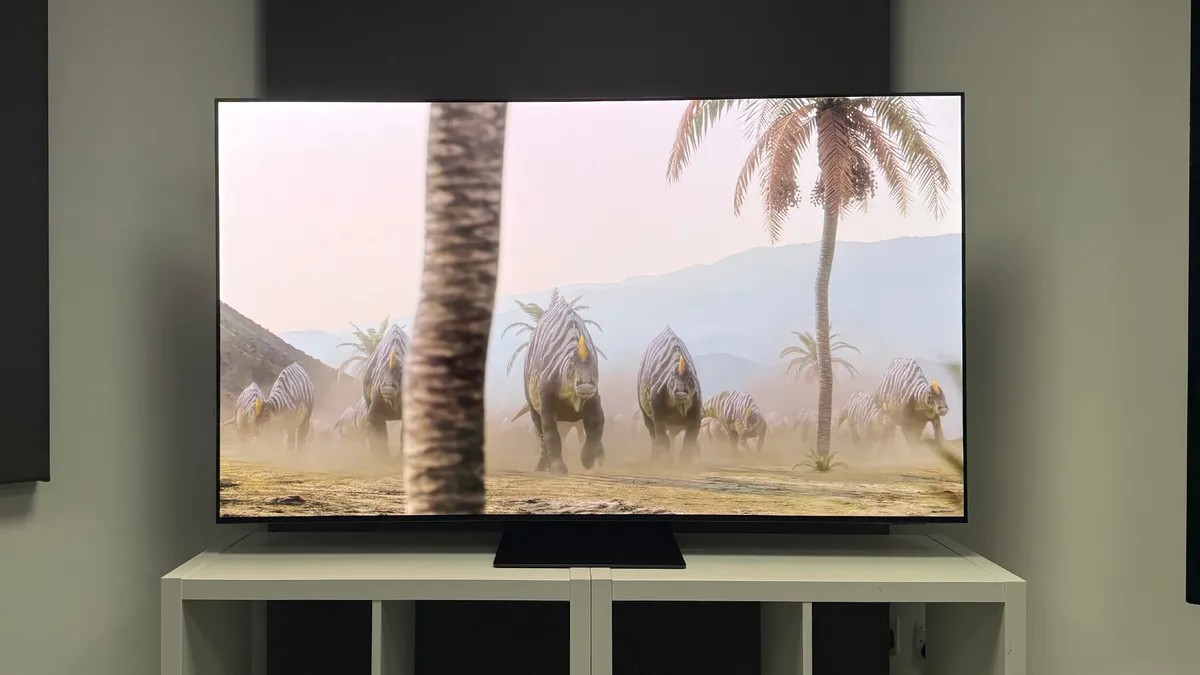 Samsung S95F OLED TV picture quality 2