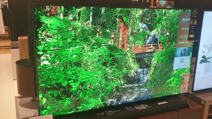 Sony A95L OLED